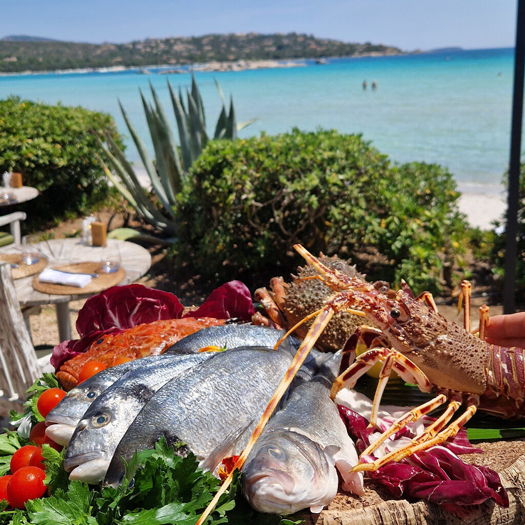 Restaurant Porto-vecchio